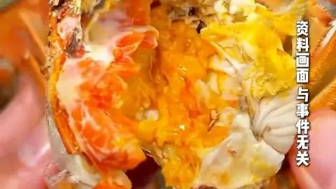 电竞战队红牛，即时赛事投注，夺冠，品牌赞助荣耀见证